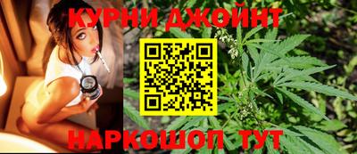 гашик Тулун