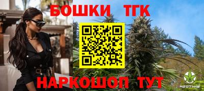 гашик Тулун