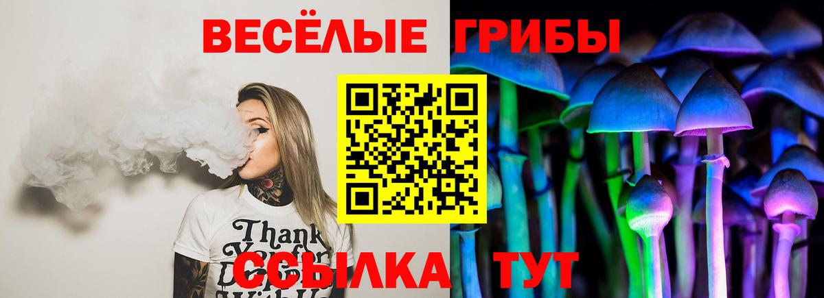 Галлюциногенные грибы Magic Shrooms  Псилоцибиновые грибы MAGIC MUSHROOMS  Вход с VPN  купить наркоту  Ногинск 